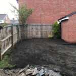 landscaping Beautiful landscaped garden maintained by Acorn Landscapes Southport